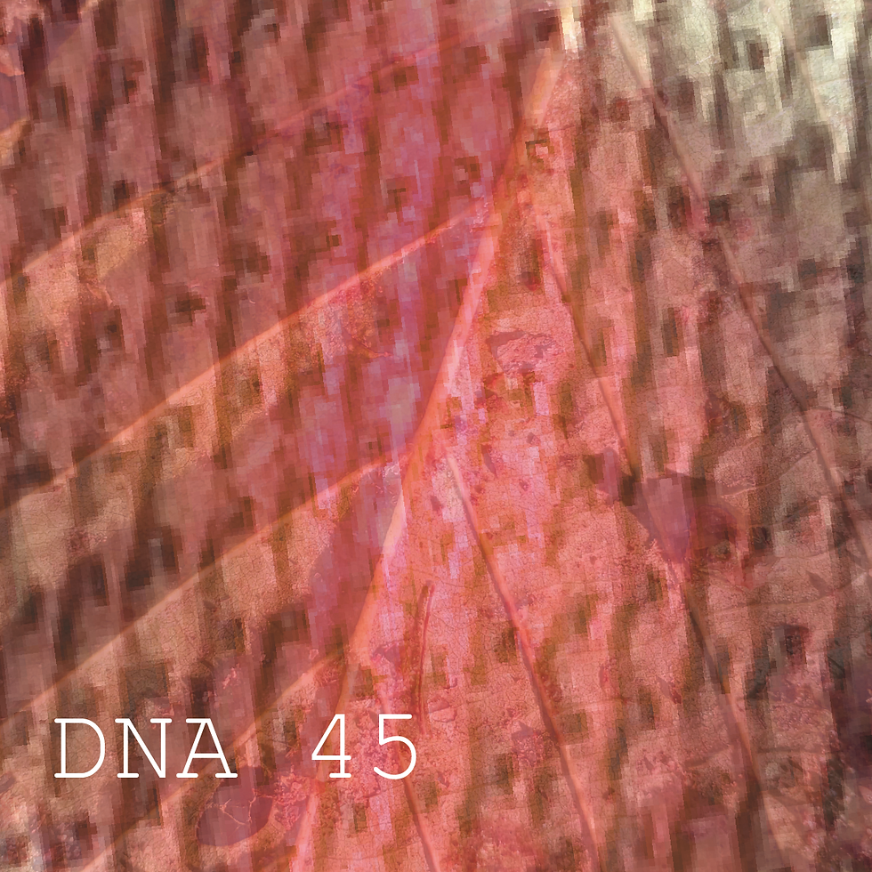 Thumbnail: DNA (Stärke 41-50)