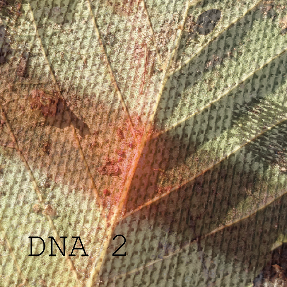 Thumbnail: DNA (Stärke 1-10)