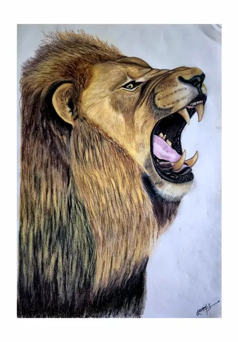 realistic colored pencil drawing of a roaring lion with open mouth, detailed mane and sharp teeth