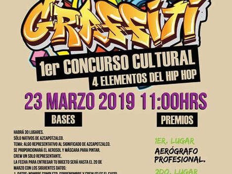 Diputada convoca a concurso de graffiti para combatir criminalización de jóvenes