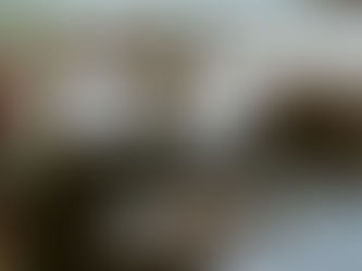 Registran PAN, PRD y MC Frente Ciudadano por México ante en INE