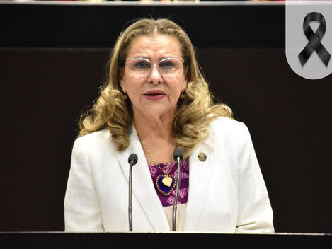 Cámara de Diputados lamenta fallecimiento de la diputada María del Carmen Pinete Vargas