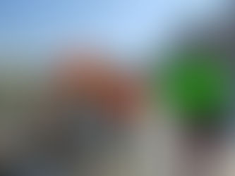 Defensores de animales exigen respeto a suspensión definitiva del Refugio Franciscano