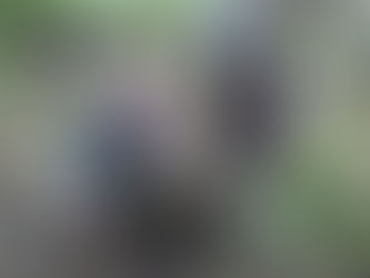 Alcaldía La Magdalena Contreras inicia jornada de reforestación 2025