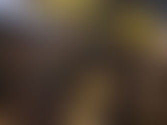 Desplazadas de Oaxaca denuncian desalojo de Palacio Nacional con violencia