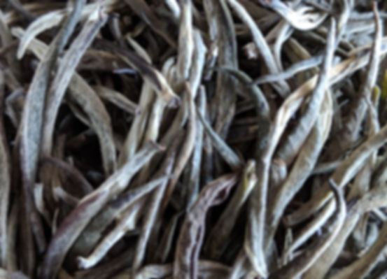 Silver Tips Nilgiri Tea