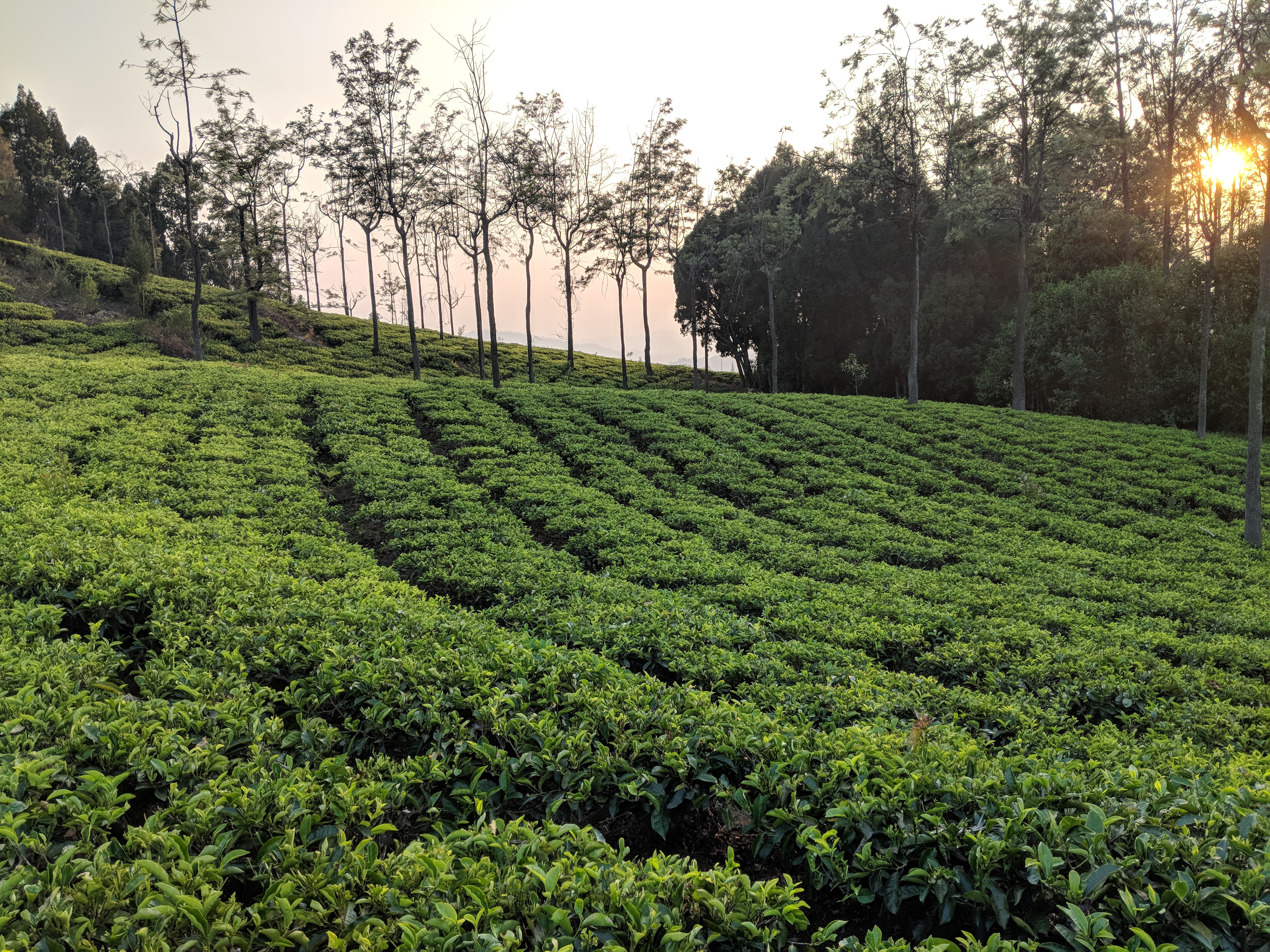 MVIMG_20180325_180410