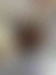 Vorheraufnahme von oben im Friseursalon Pro Studio Konstanz Bodensee, mittellanges braunes Haar mit sichtbar hellerem Ansatz und natürlichen Farbunterschieden, Vorbereitung für eine Pflanzenfarbe Behandlung mit Wella EOS und Olaplex Pflege sowie Balayage Farbtechnik.