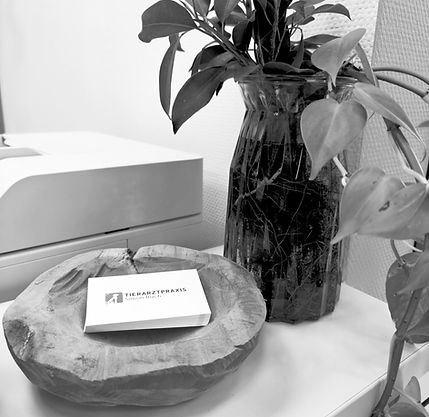 IMG20250917080113_edited_edited_edited.j