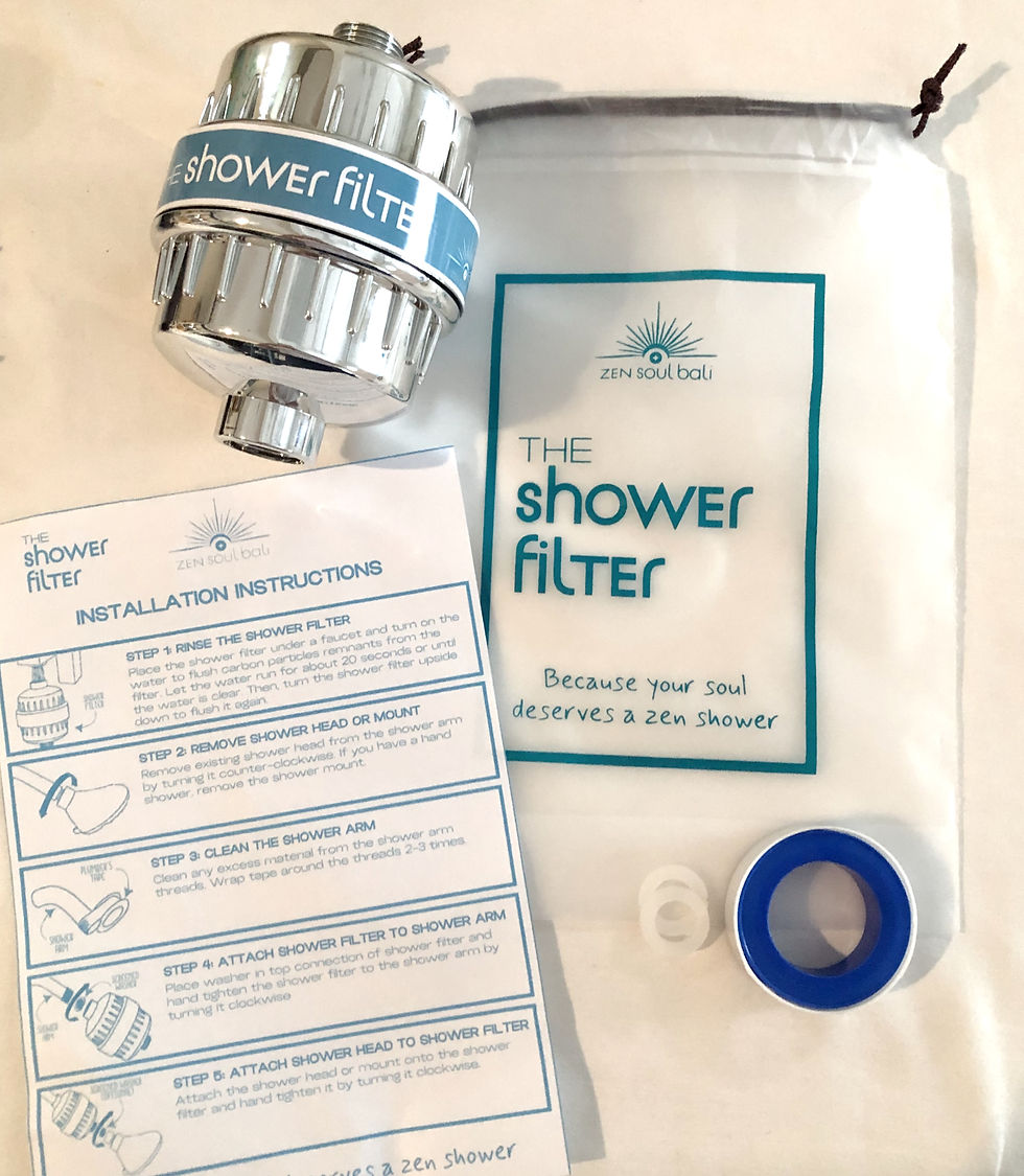 Water filter in Bali