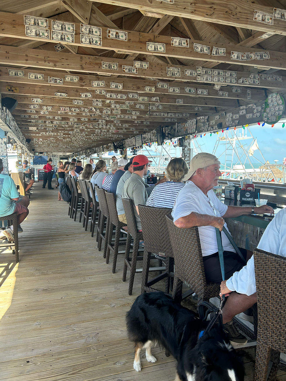 This covered deck looks like it's long enough to seat 100!