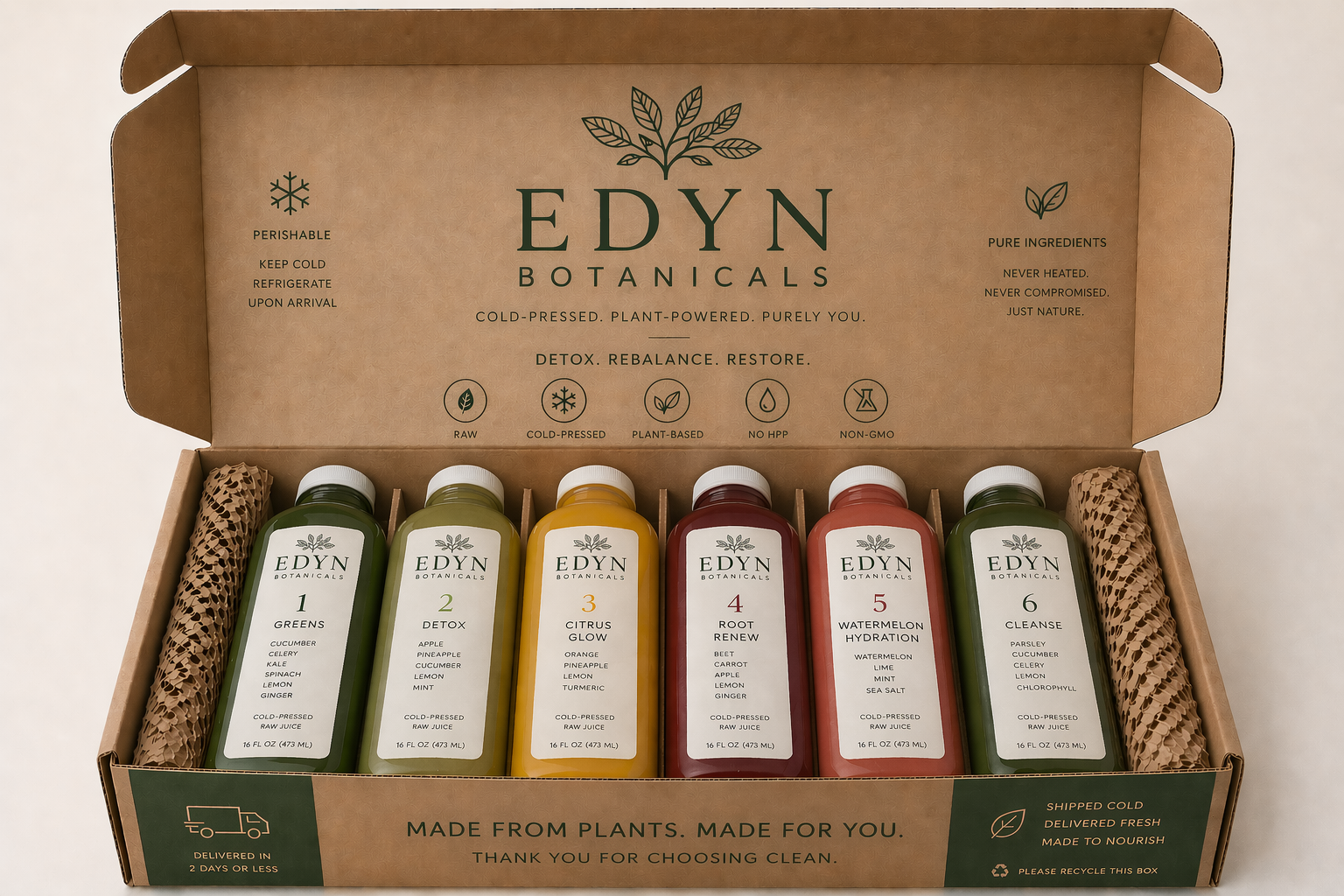 1 day juice cleanse 6 bottles