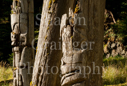 Sgang Gwaay ancient site of totem poles, standing where they were carved and raised in the 1800s.jpg