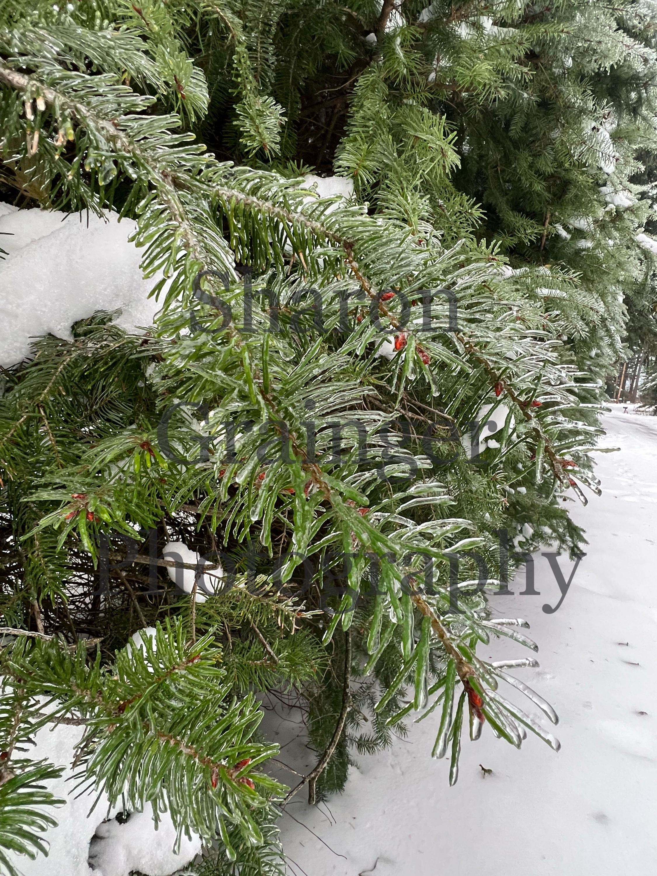 Freezing rain
