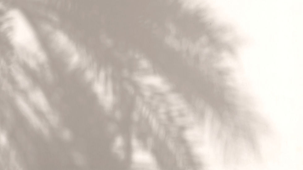 Palm Leaves Shadow_edited.jpg