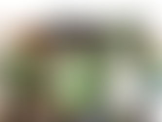 Inspirace týdne: 10 tipů na svatbu s lístky!