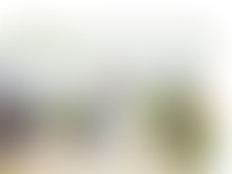 TRENDY: Luční svatba