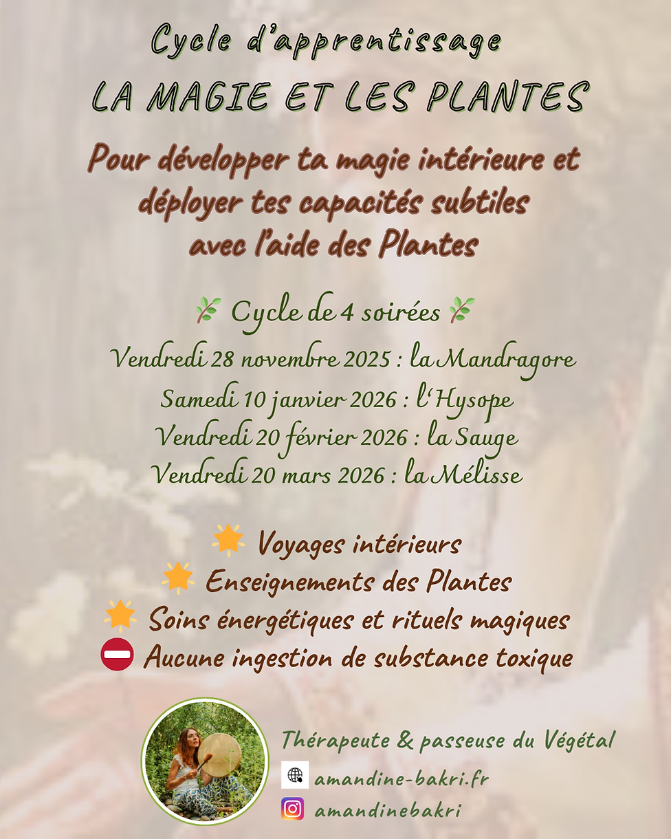 Flyer recto cycle magie et plantes.png