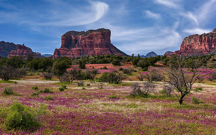 USA_Spring_Sedona_Arizona_Crag_Trees_586018_1920x1200.jpg