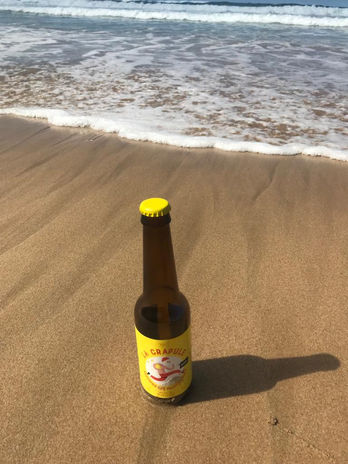 crapule dans le sable