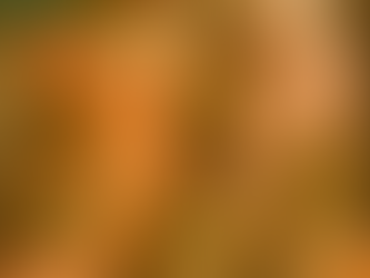 Juju Bee and the Bagelsnout Mystery:Juju Bee