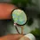 Thumbnail: 11.75CT 14CT GOLD RING WITH SOLID GEM LIGHTNING RIDGE OPAL N14