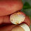 Thumbnail: 3.70CT  QUEENSLAND BOULDER OPAL BA25