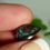 Thumbnail: 5.35CT QUEENSLAND BOULDER OPAL AE94