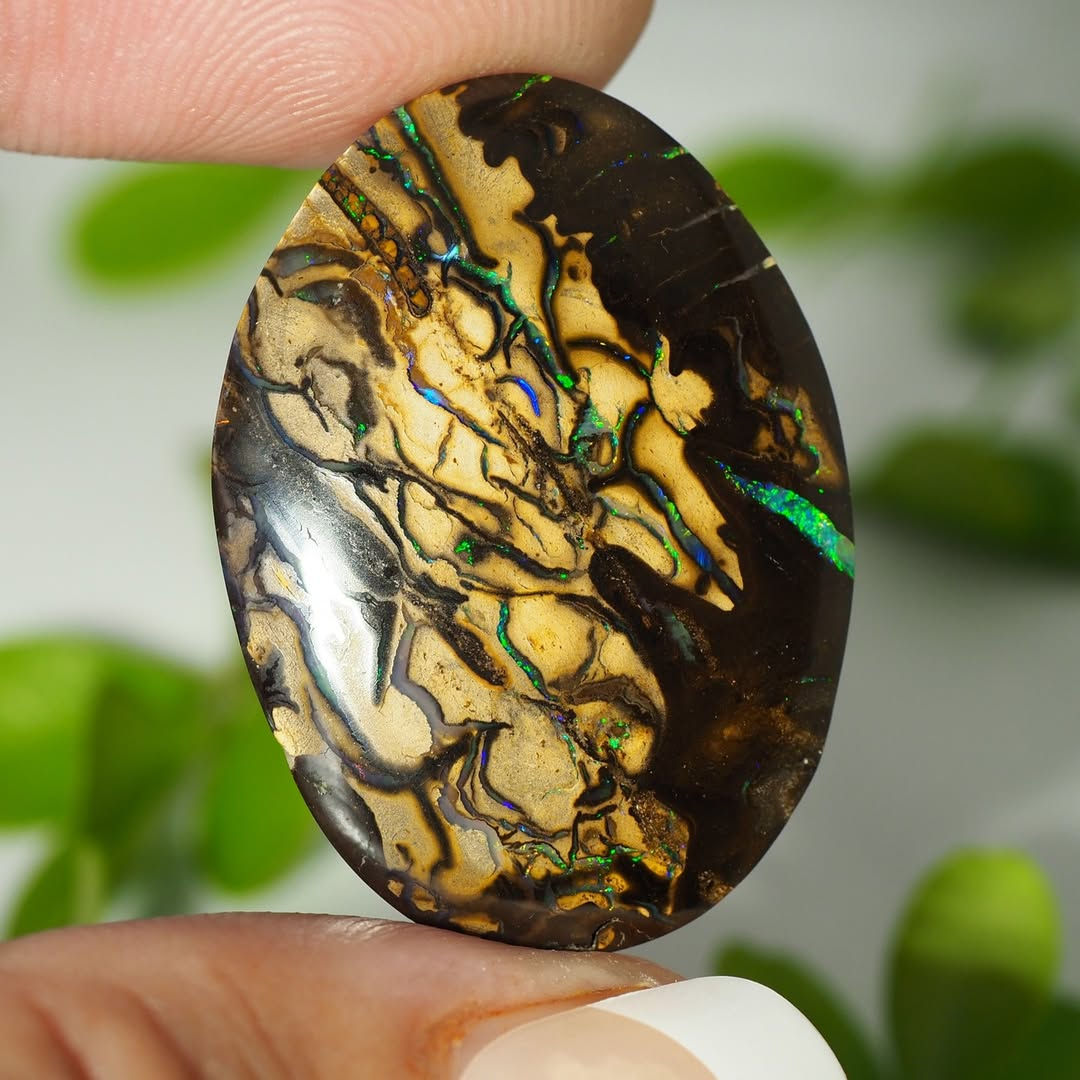 29.80CT QUEENSLAND BOULDER OPAL ZZZ81