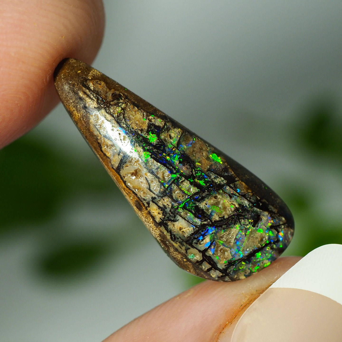 7.70CT QUEENSLAND BOULDER OPAL UUU24