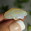 Thumbnail: 10.40CT QUEENSLAND BOULDER OPAL AZ58