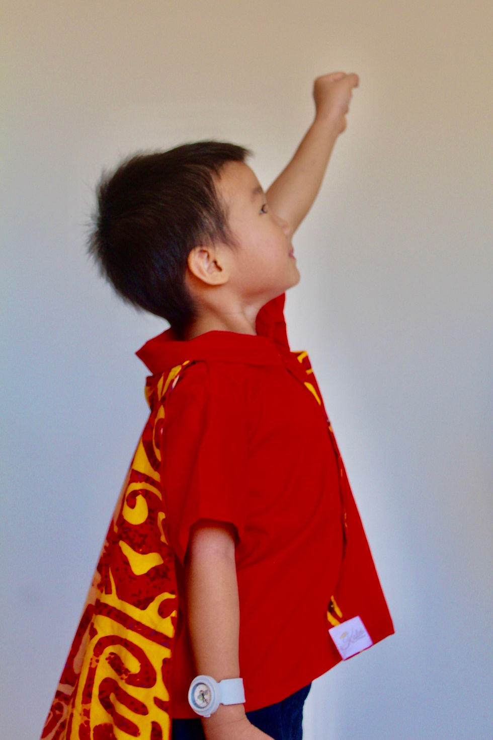 Miniature : Chemise SUPER HIRO (Rouge)
