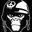 Writer: palooka5band