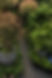 GOOD-IMG_8635.JPG