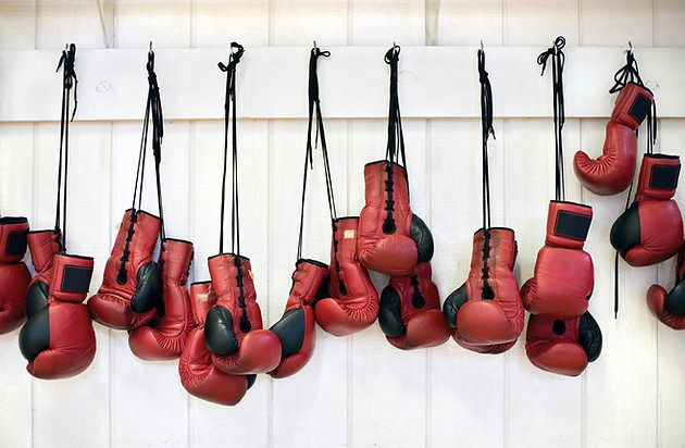 Boxhandschuhe