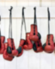Boxing Gloves
