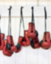 Boxing Gloves