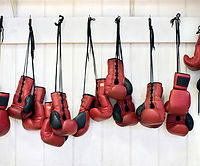 Boxing Gloves