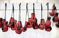 Boxing gloves in a law office