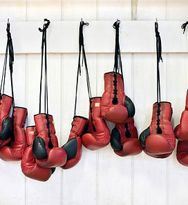 Boxing Gloves