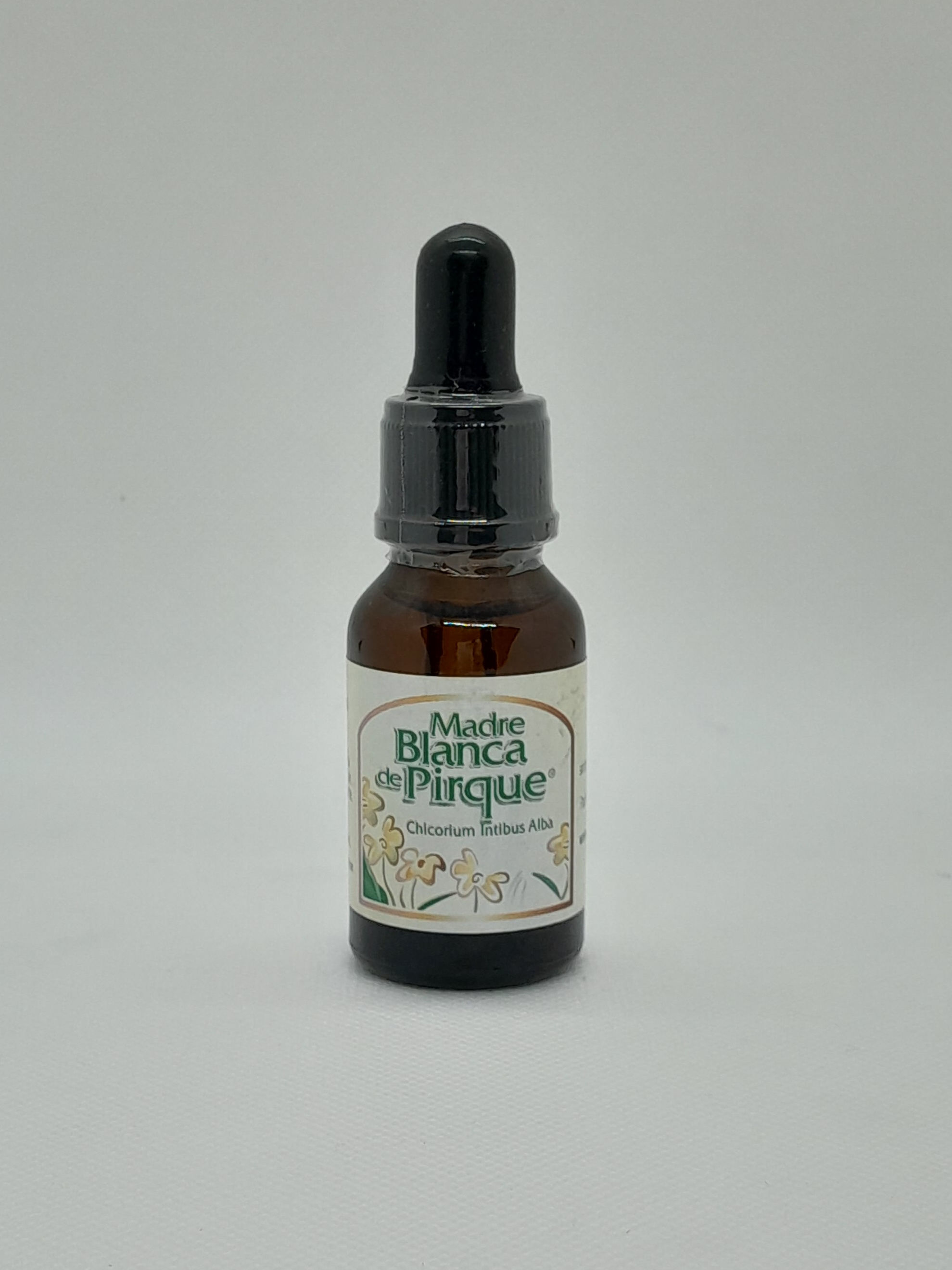 Madre Blanca de Pirque