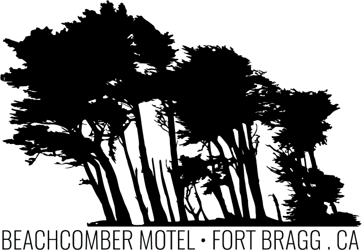 Beachcomber Hotels