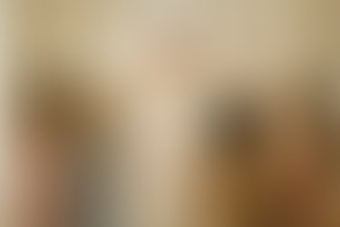 How Many Guests Should You Bring Wedding Dress Shopping?