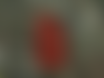 Commonly Repeated Misconceptions about 17 Herff Road