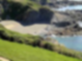 untitled (2).png