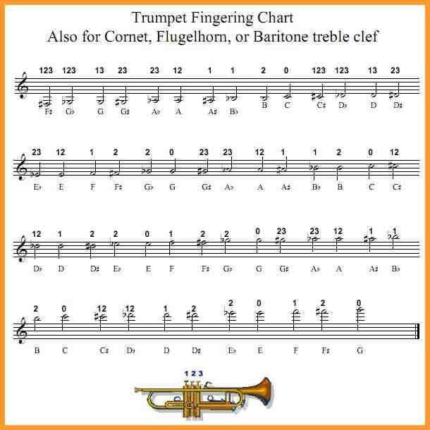 Music literacy and brass instrument fingerings for beginners