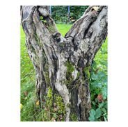 Whitagram-Image 44.JPG