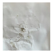 Whitagram-Image 39.JPG