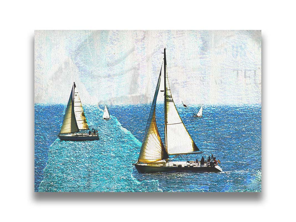 Sailboats in the Harbor