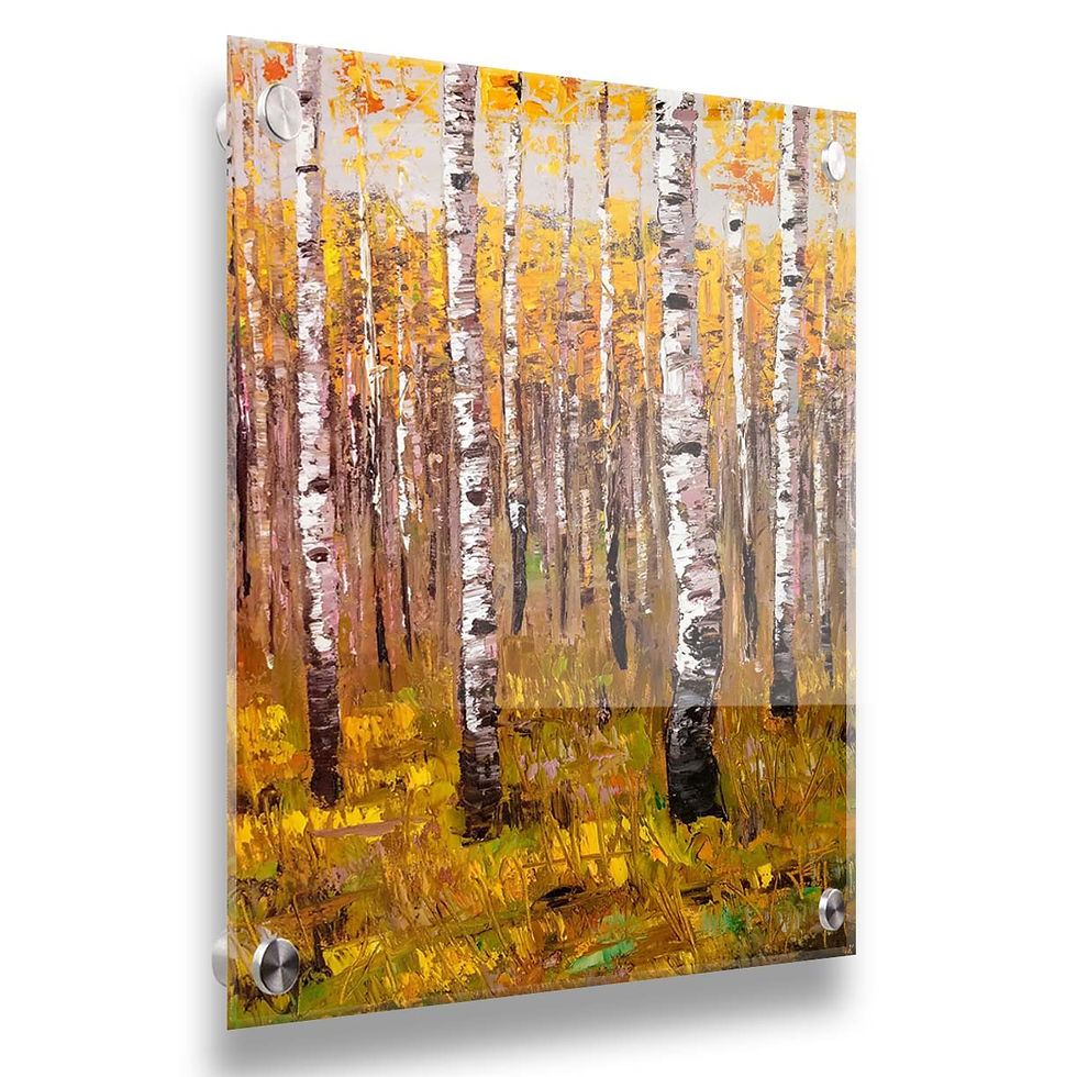 Thumbnail: Nature's Layers - Birch Trees